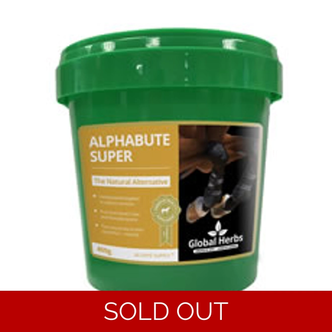 product Image for Global Herbs Alphabute Super 400 Gm